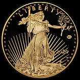 Top 100 US Modern Coins (All-Inclusive) Collector/Dealer Group